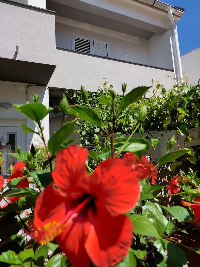 Apartment Eli 파그 0*,  크로아티아
